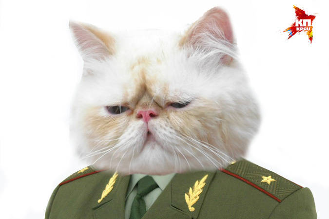 Вместо полковника Мяу назначен генерал Мур.