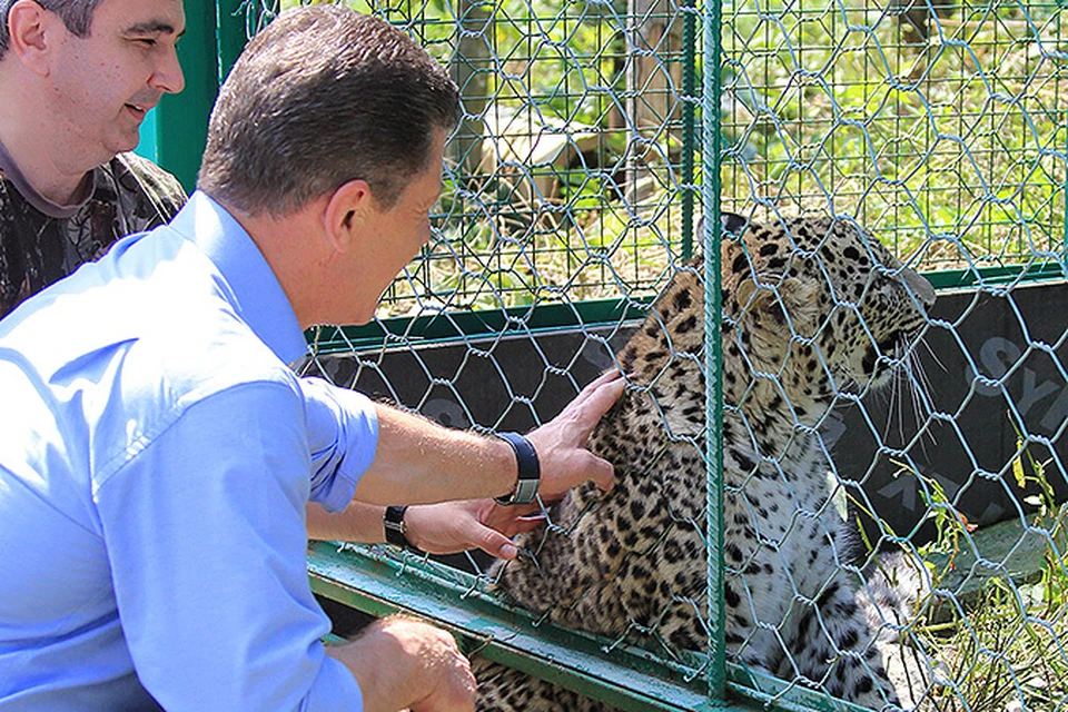 Козак и Килли погладили леопарда Путина