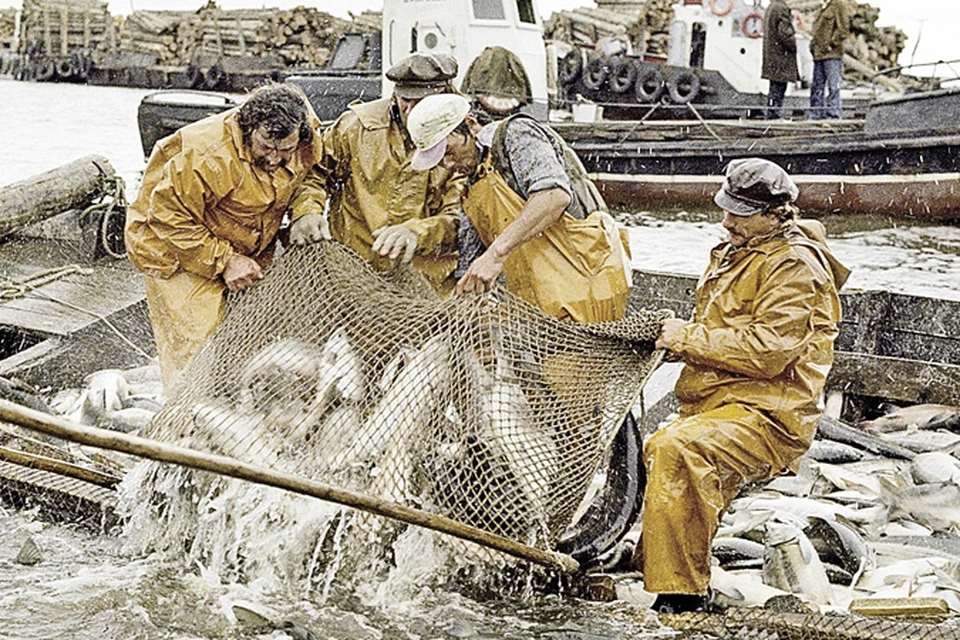 Раньше рыбакам Дальнего Востока было выгоднее продавать рыбу за границу, чем оставлять ее в России.
