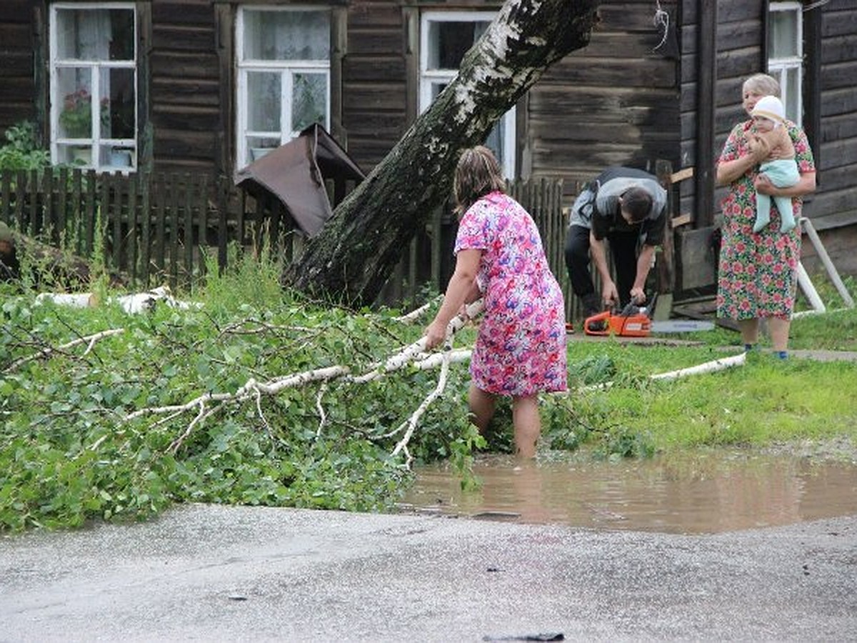 В Прикамье подсчитывают ущерб от урагана - KP.RU