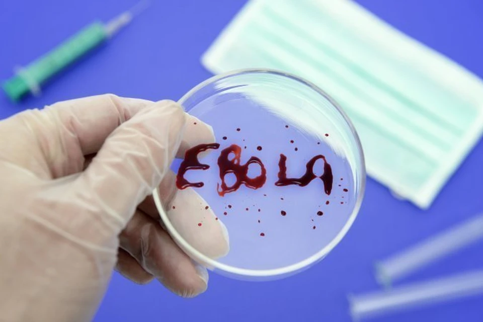 Минздрав опроверг слух о лихорадке Эбола в Саратове