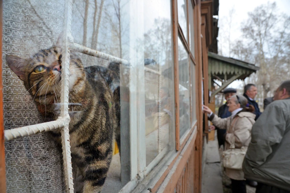 Фото: Владислав КОМЯКОВ.