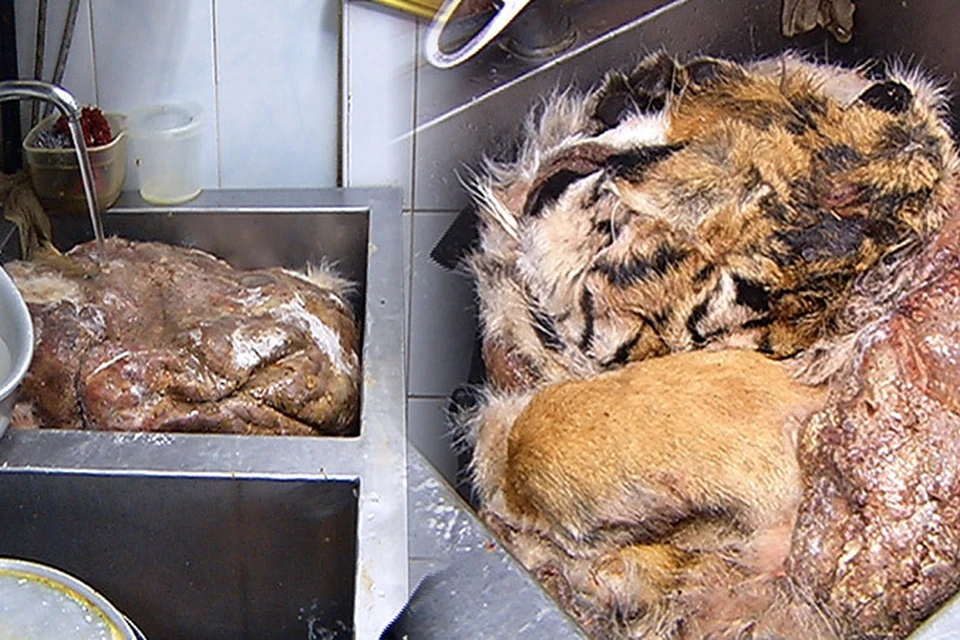 В Москве на рынке "Садовод" нашли мясо и шкуры тигра и леопарда