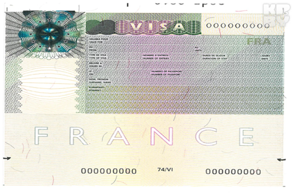 Номер визы шенген. Биометрическая виза как выглядит. Сдать биометрию для визы. Виза с шенген с отпечатками пальцев. Номер визы.