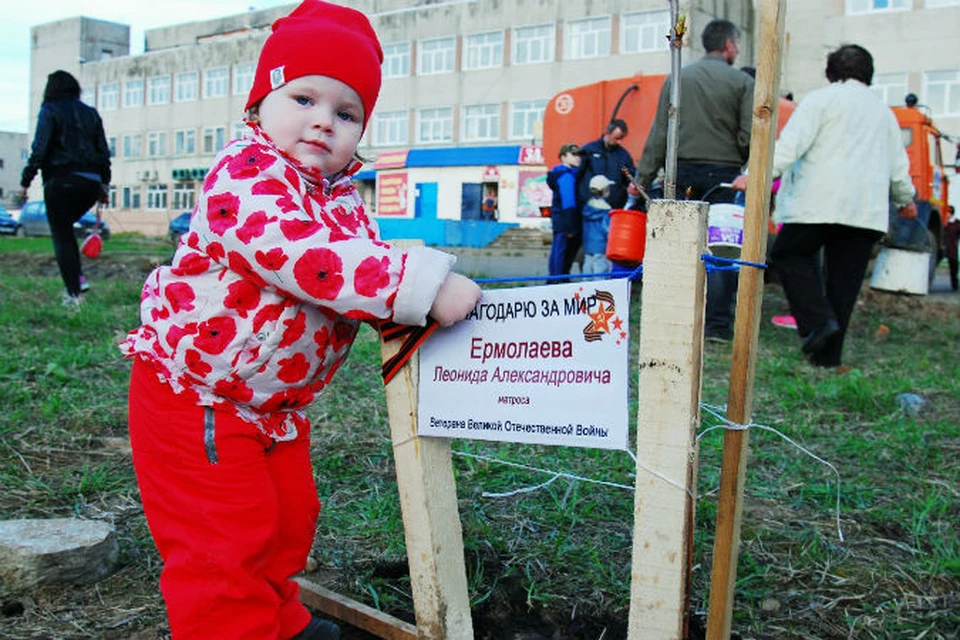 В Рыбинске посадили новую аллею. Фото: Юлия ГАЛАНЦЕВА.