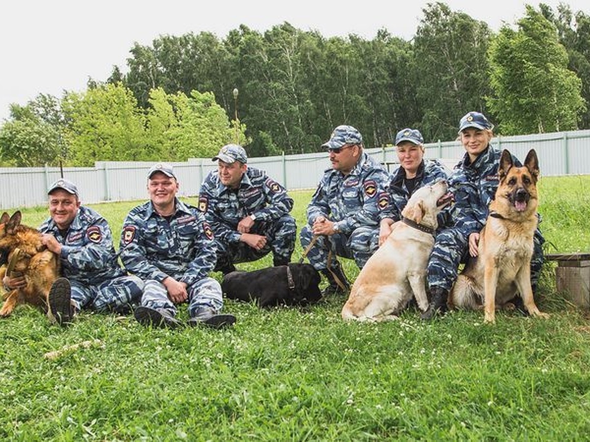 кемерово кинологи на дом (94) фото