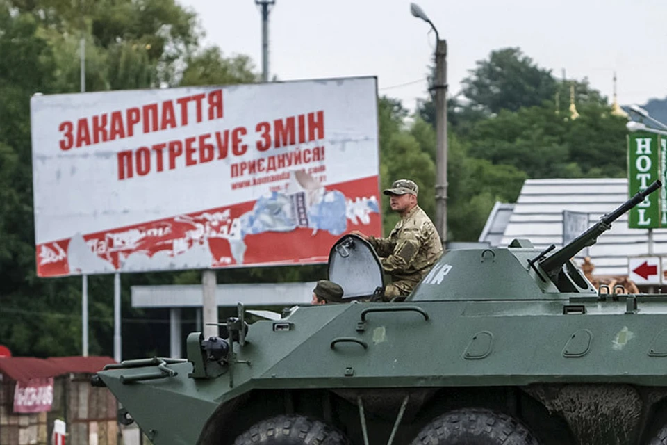 Мукачевский «Правый сектор», по скудоумию или жадности, все-таки выдернул чеку из закарпатской бомбы