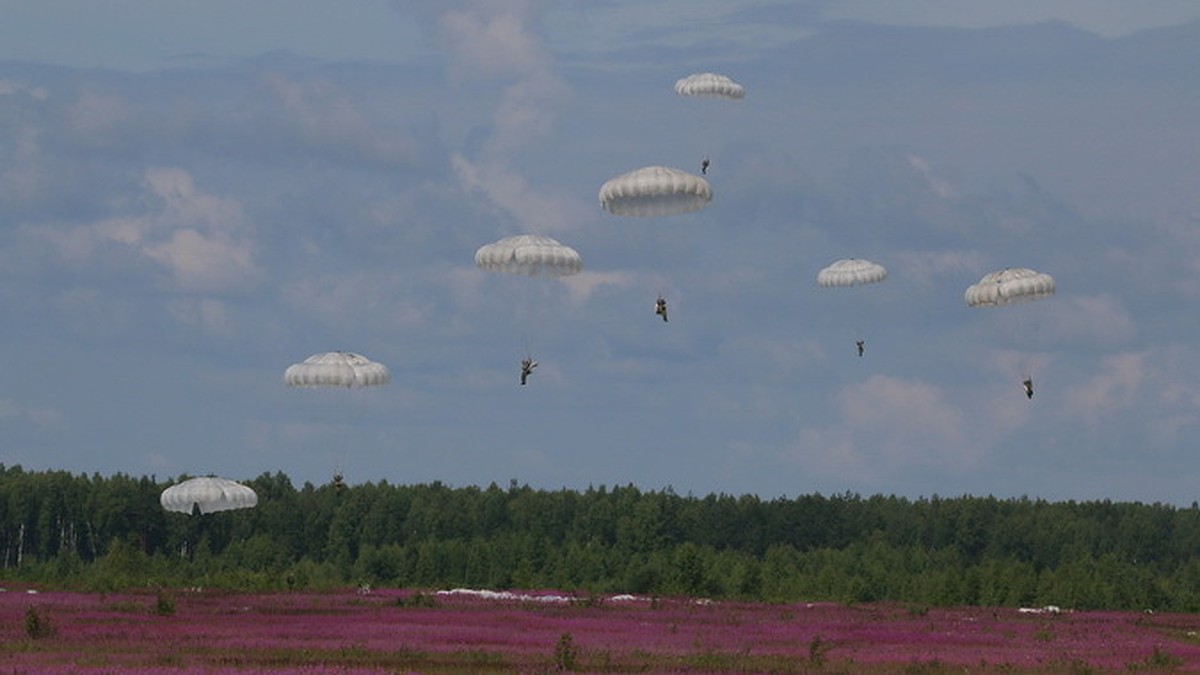 Тысячи ромашек в небе - KP.RU