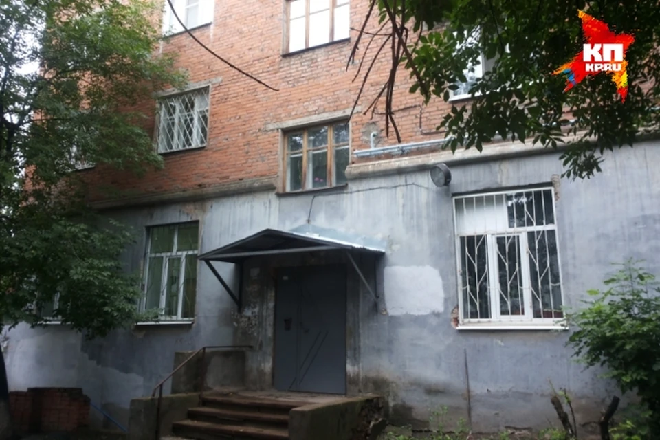 Жильцы дома в Ижевске страдают от вони из-за 20 кошек, которых завела одна из соседок