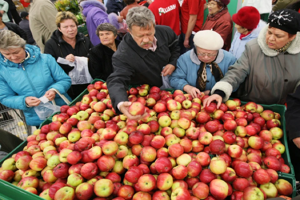 Яблоки купить рынок. Яблоки на рынке. Яблоки на базаре. Яблоко магазин. Продаю яблоки.