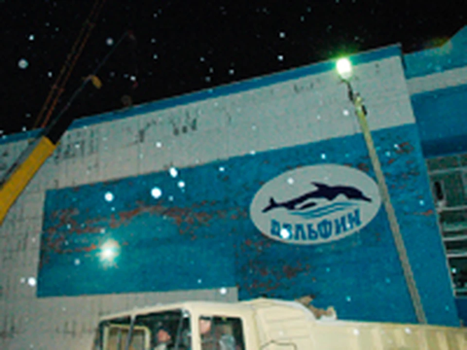"Дельфин": декабрь 2005-го