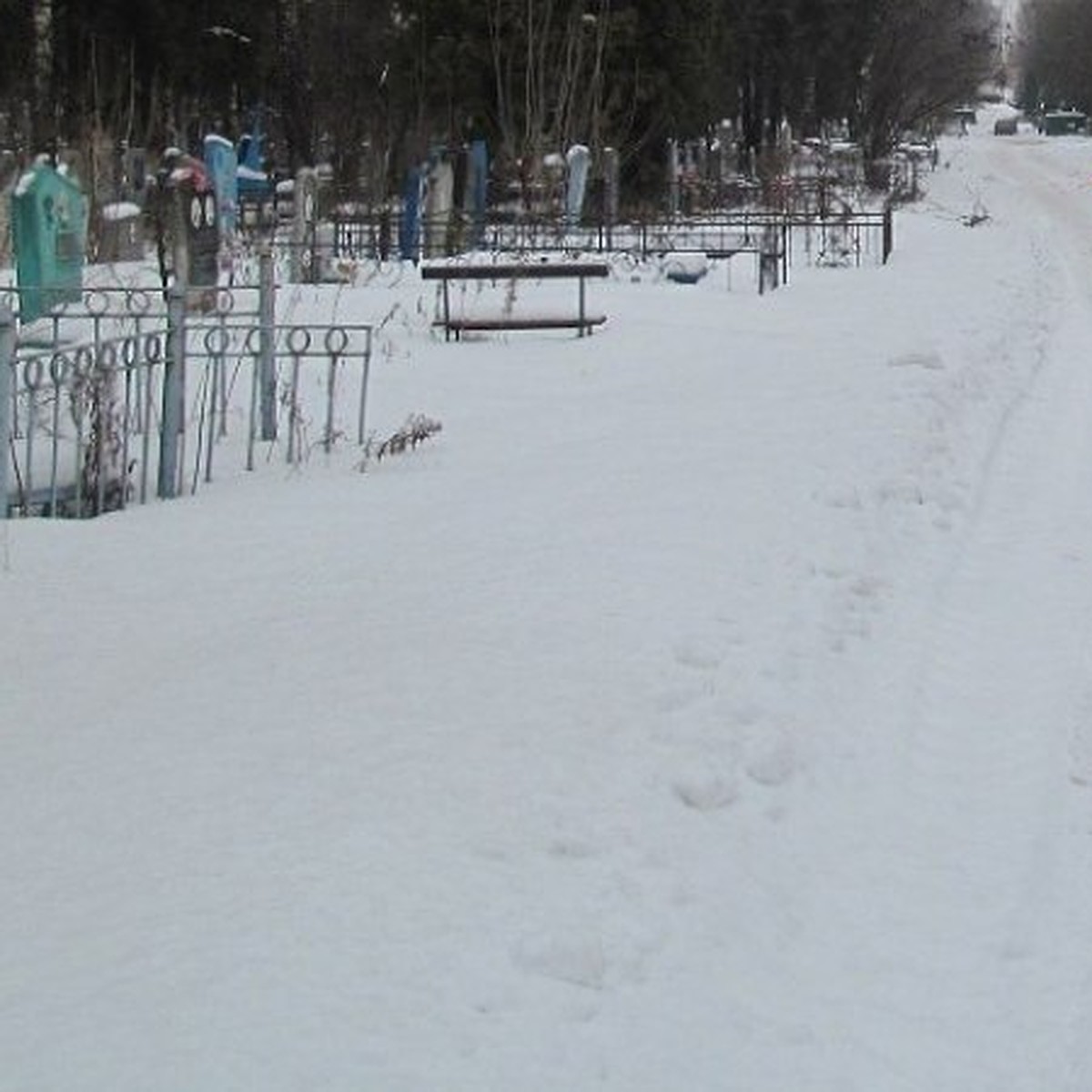 В Татарстане погибших на пожаре мать и пять ее детей похоронили в одном  гробу - KP.RU