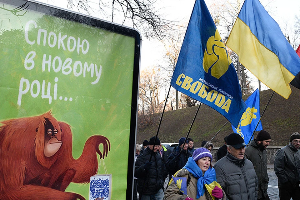 Киевский митинг националистической партии "Свобода"  в декабре 2015 года.