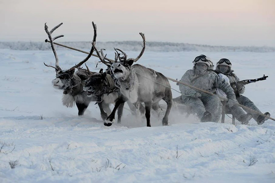 Мотострелки Арктической бригады учатся использовать саамский транспорт.
Фото: Минобороны
