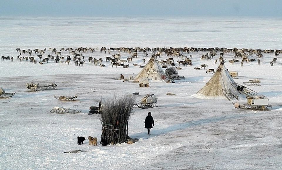 Фото: правительство.янао.рф