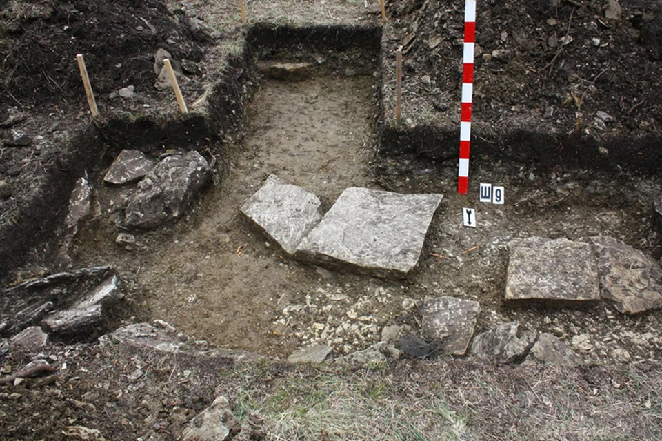 Верхнюю часть допотопного "забора" археологи обнаружили, едва сняв грунт. Фото: Александр ШИШЛОВ