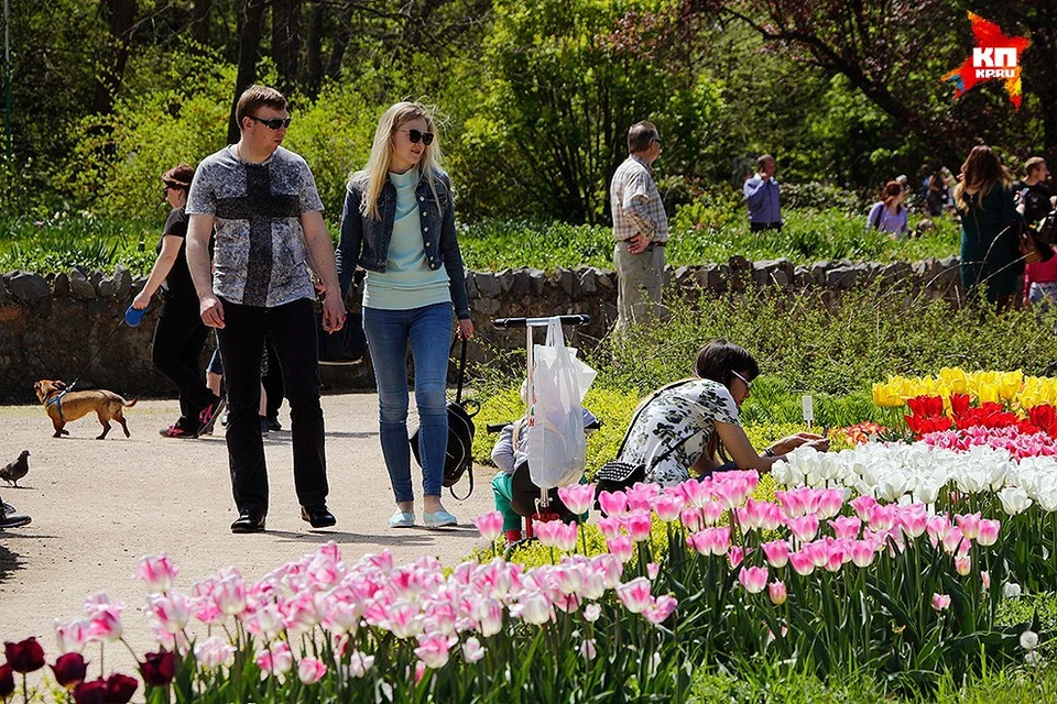 Посетители парка спешат запечатлеть мимолетную красоту
