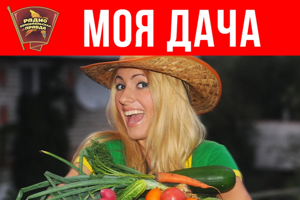 Как бороться с кротами и землеройками?