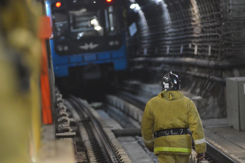 После проверки тоннелей движение поездов на Серпуховско-Тимирязевской линии было восстановлено