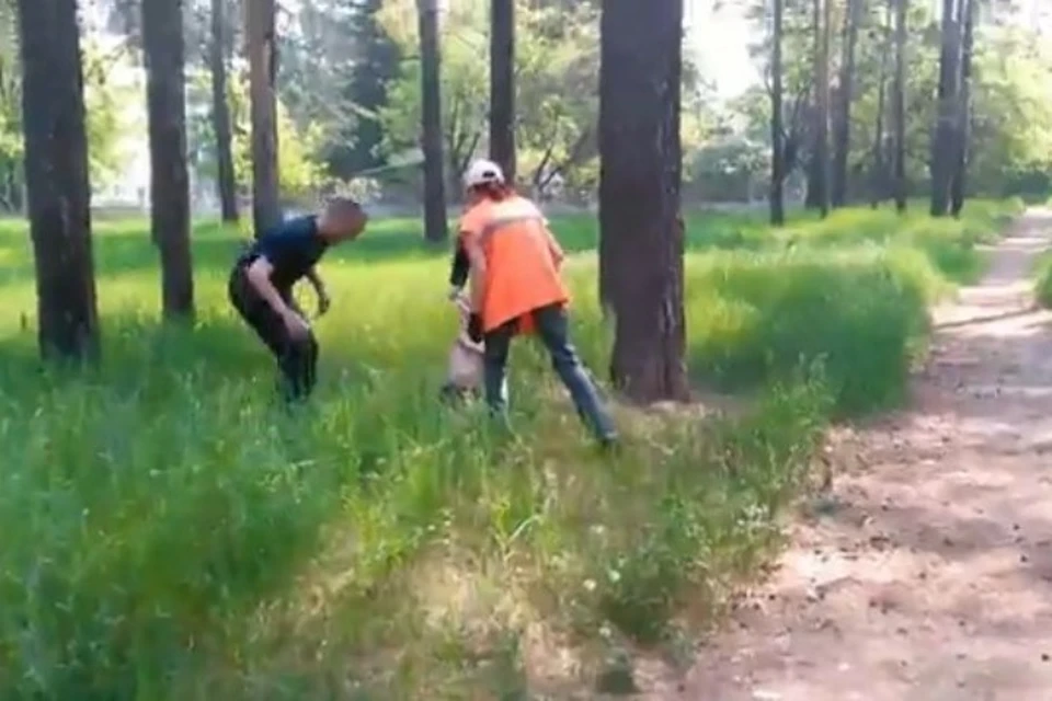Видео «задержания» обезьяны, которая сбежала от хозяев в Ангарске, опубликовали полицейские