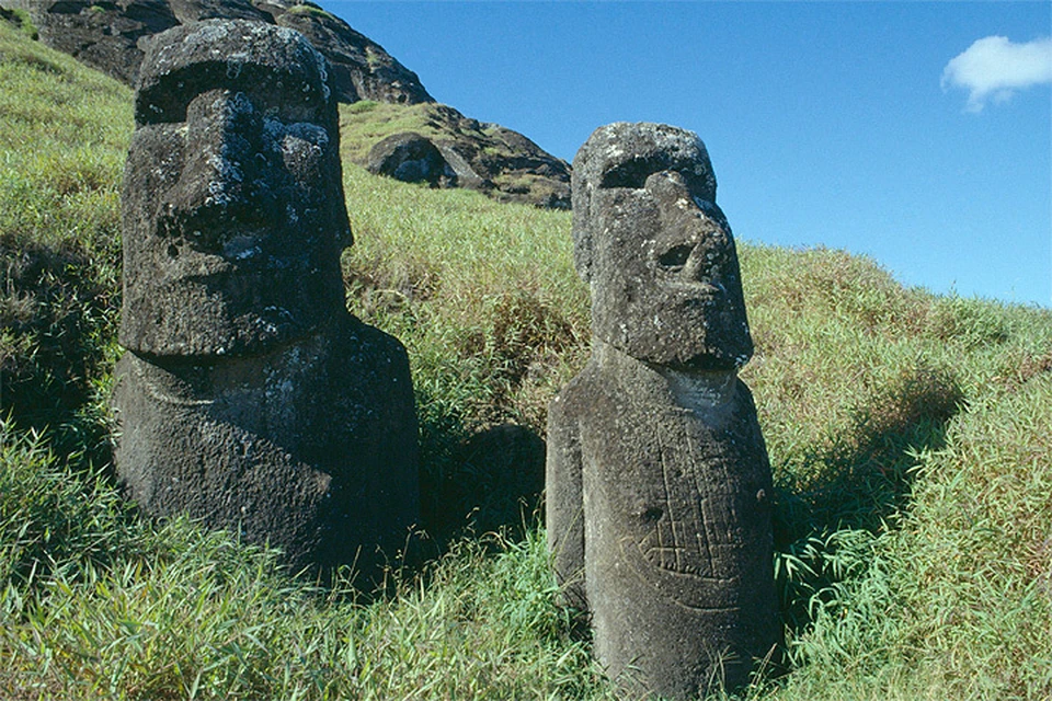 Происхождение статуй моаи на острове Пасхи, интересные факты