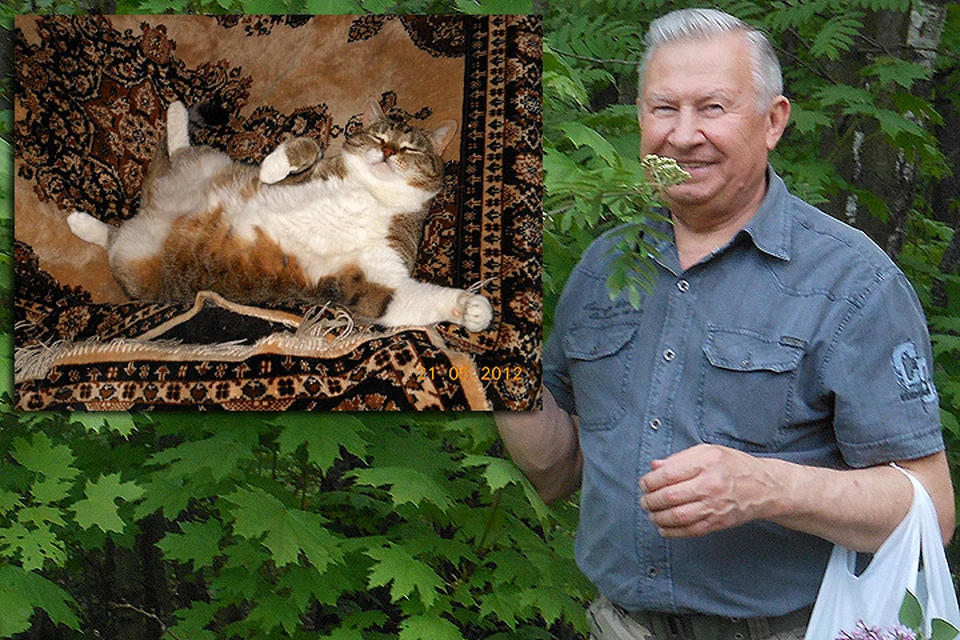 Сказ о том, как кот Филька спас кремлевского генерала от верной смерти.