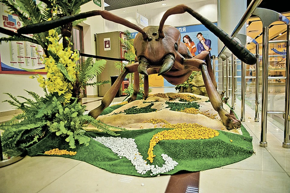 На выставке «Гигантские насекомые» будет представлена экспозиция анимационных фигур реальных насекомых, увеличенных в 1000 (!) раз. Фото: Предоставлено организаторами