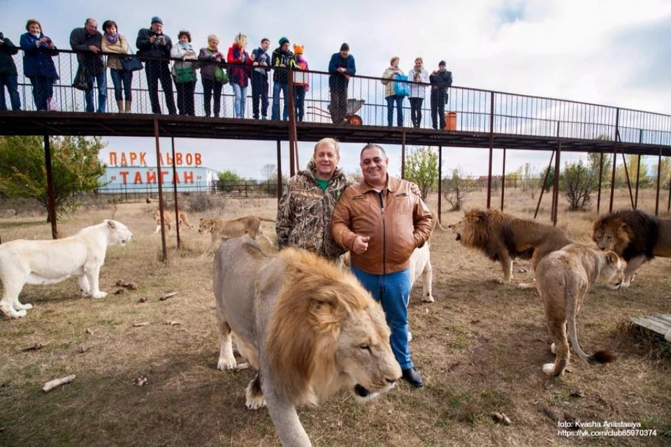 Олег Зубков и Карен Даллакян в окружении крымских львов. Фото: Анастасия КВАША.