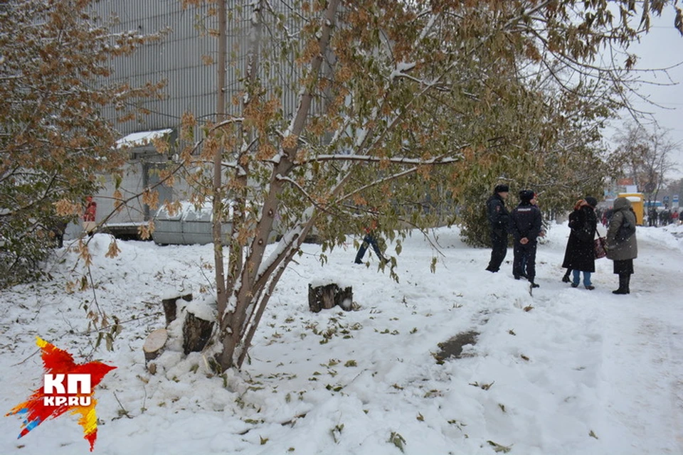 Пока обсуждали вопросы, возле клуба «Отдых» начали рубить деревья.