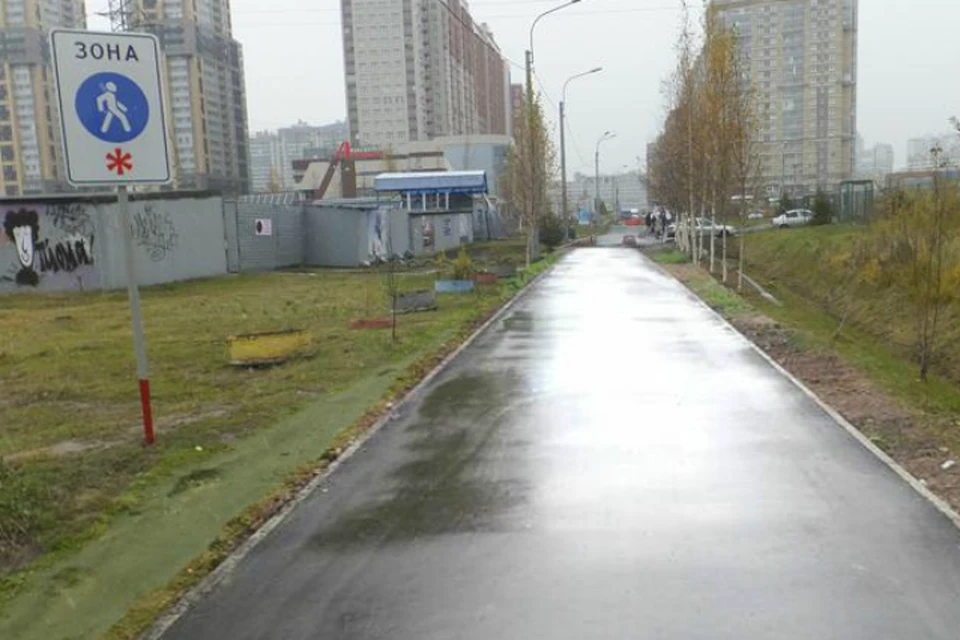 По словам местных жителей, асфальта на этой дорожке на самом деле нет. Фото: gorod.gov.spb.ru