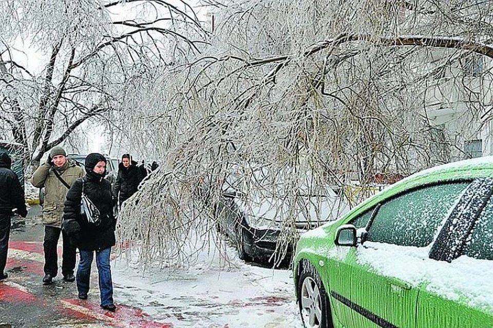 Москвичей погода вновь "порадует" ледяным дождем.