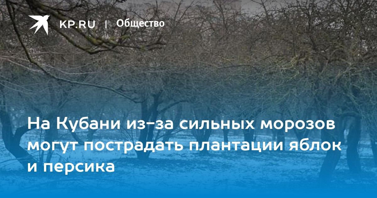 В Адыгейском ауле оказалось лучше, чем в Кубанской станице