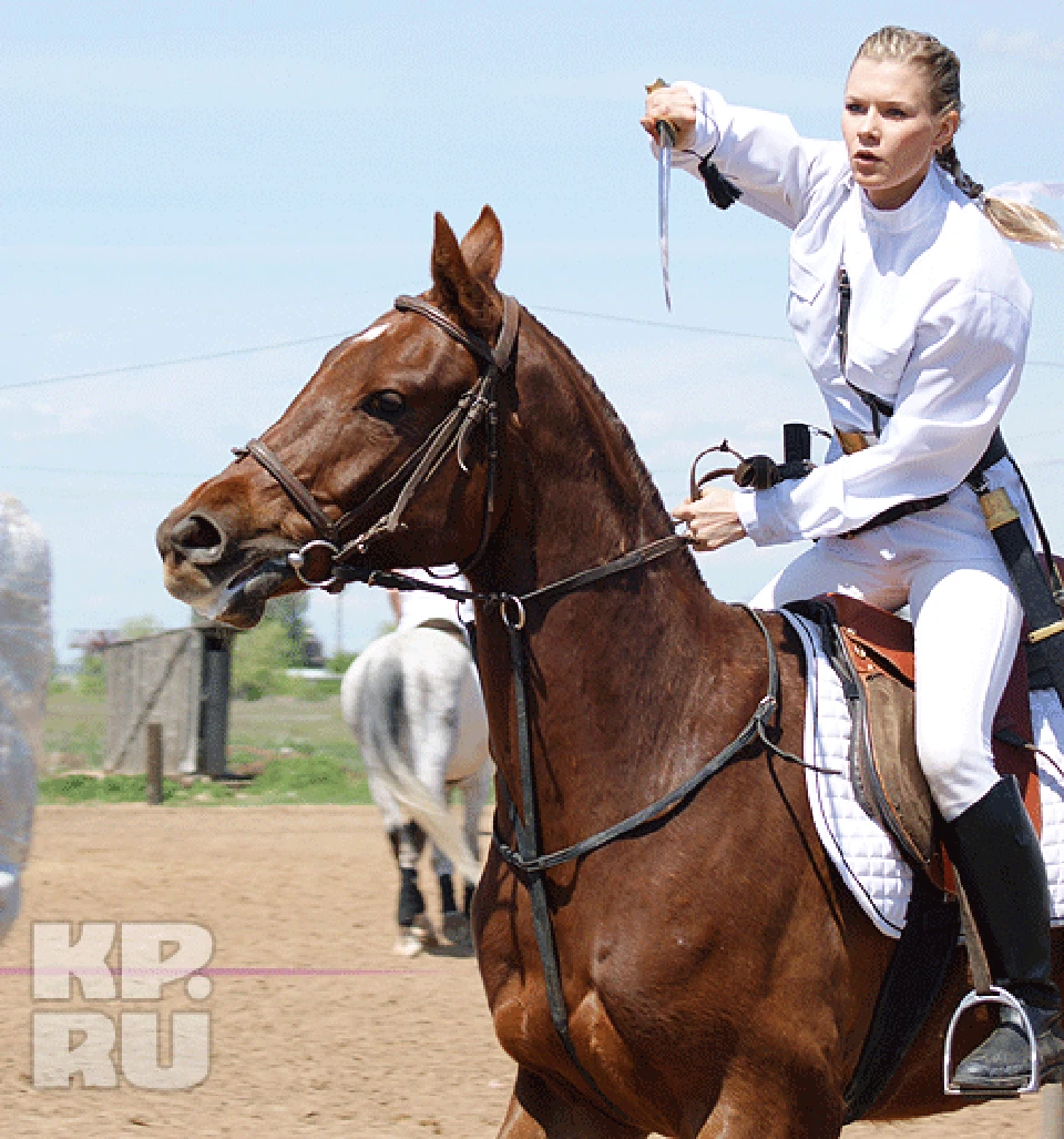 директор конного парка русь. конный спорт волгоград. конный спорт добрыня. конный спорт волгоград. добрыня конюшня волгоград.