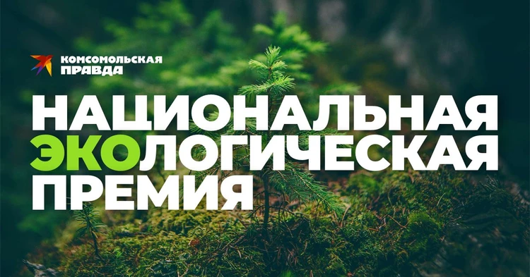 "Комсомольская правда" объявляет о старте приема заявок на Экопремию-2024