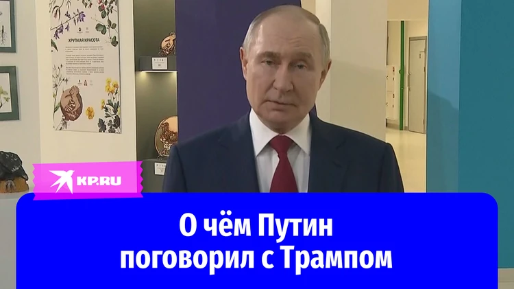 Заявление Владимира Путина после телефонного разговора с Дональдом Трампом 19 мая 2025