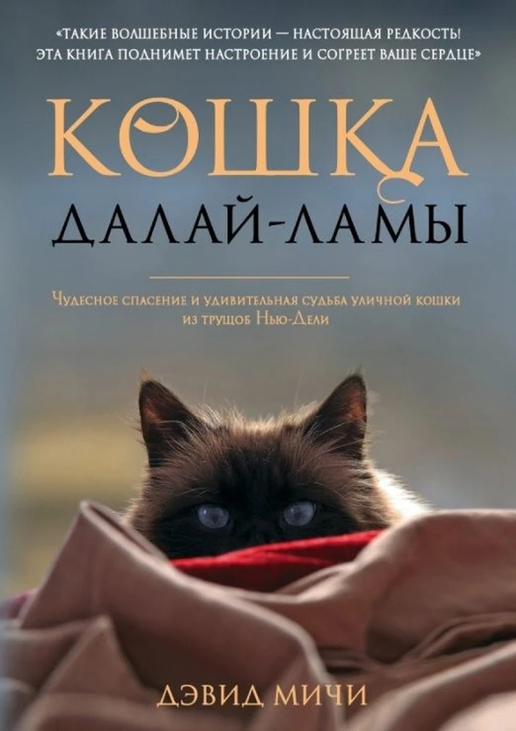 7 книг о котах для мартовских вечеров - KP.RU