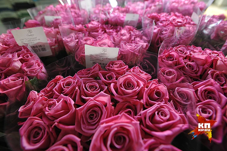 99 цветов в рублях. Букет из подмосковных роз. Цветы за 1000 рублей. Цветы которые продаются в КБ.