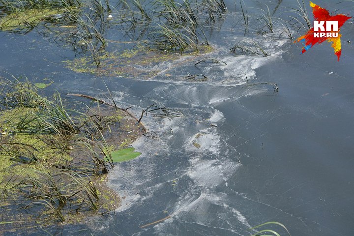 Так выглядит вода в Оке в районе пляжа у Горпарка