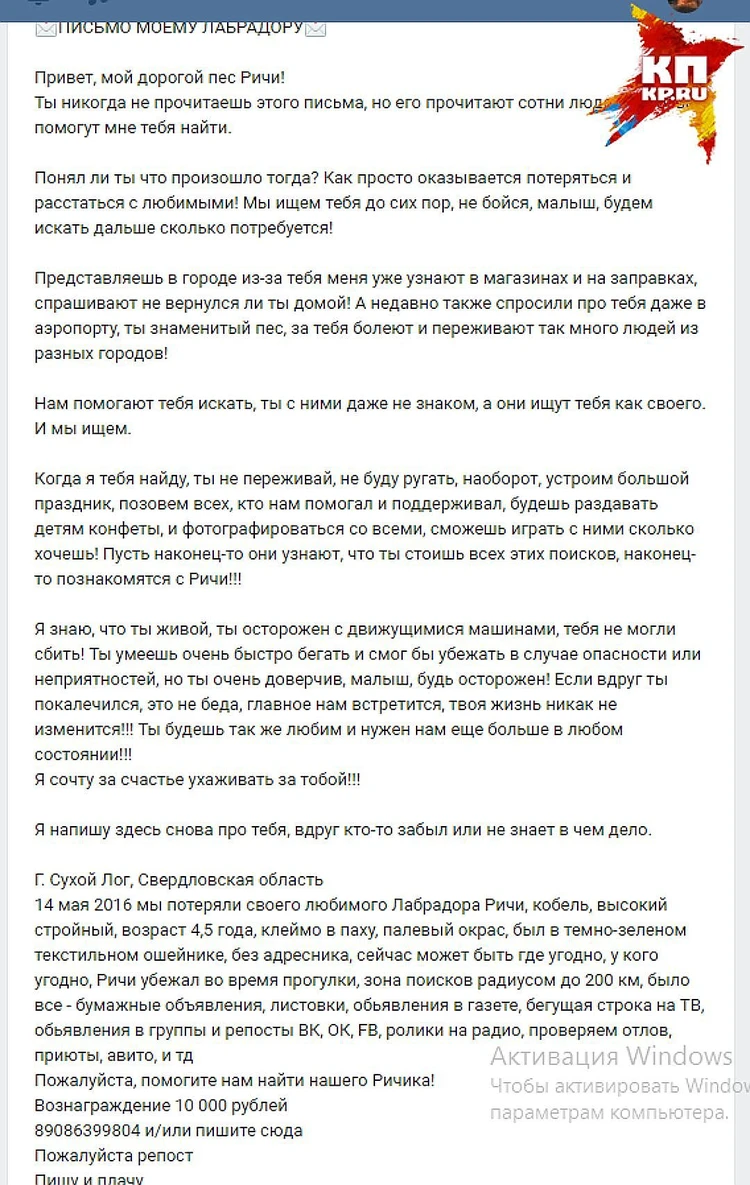 Хозяйка, которая нашла своего пса после того, как написала ему письмо,  рассказала, как прошла встреча - KP.RU