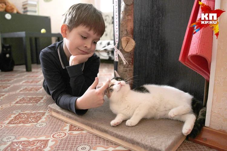 Степень сексуального возбуждения