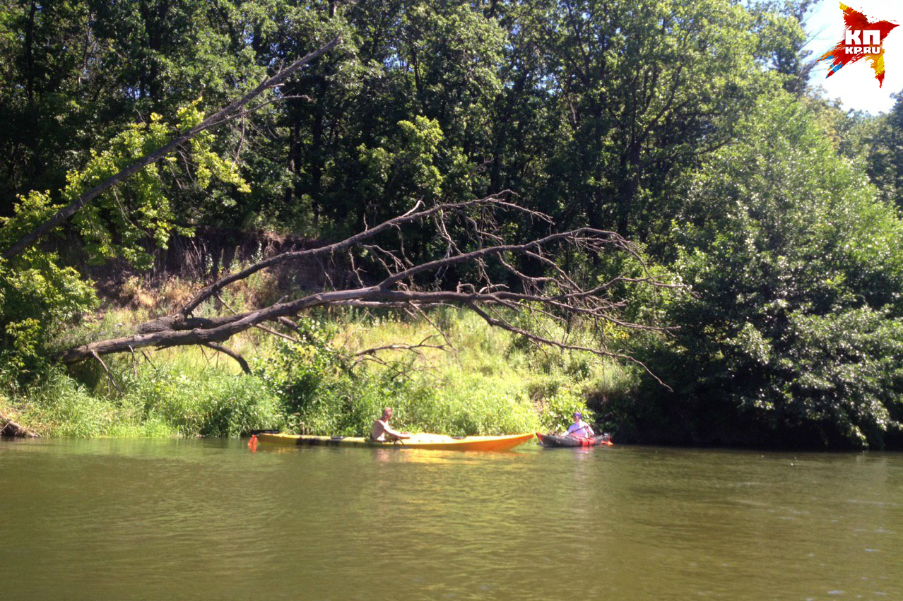 Нависшие над водой деревья делают пейзаж разнообразным.