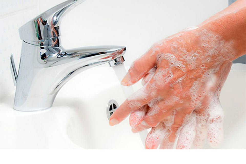 А вот руки нужно мыть чем чаще, тем лучше.