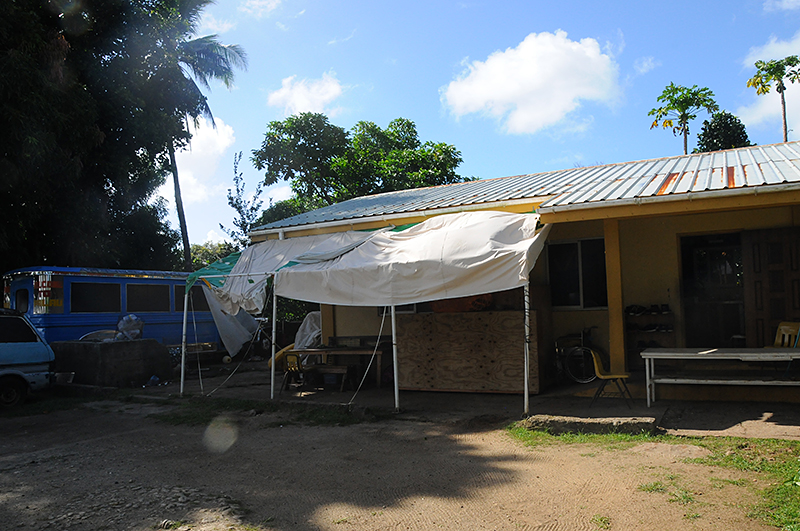 В таких незатейливых домах живут обычные палаусцы