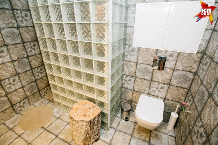 Стеклоблоки в интерьерах ванных комнат (58 фото)