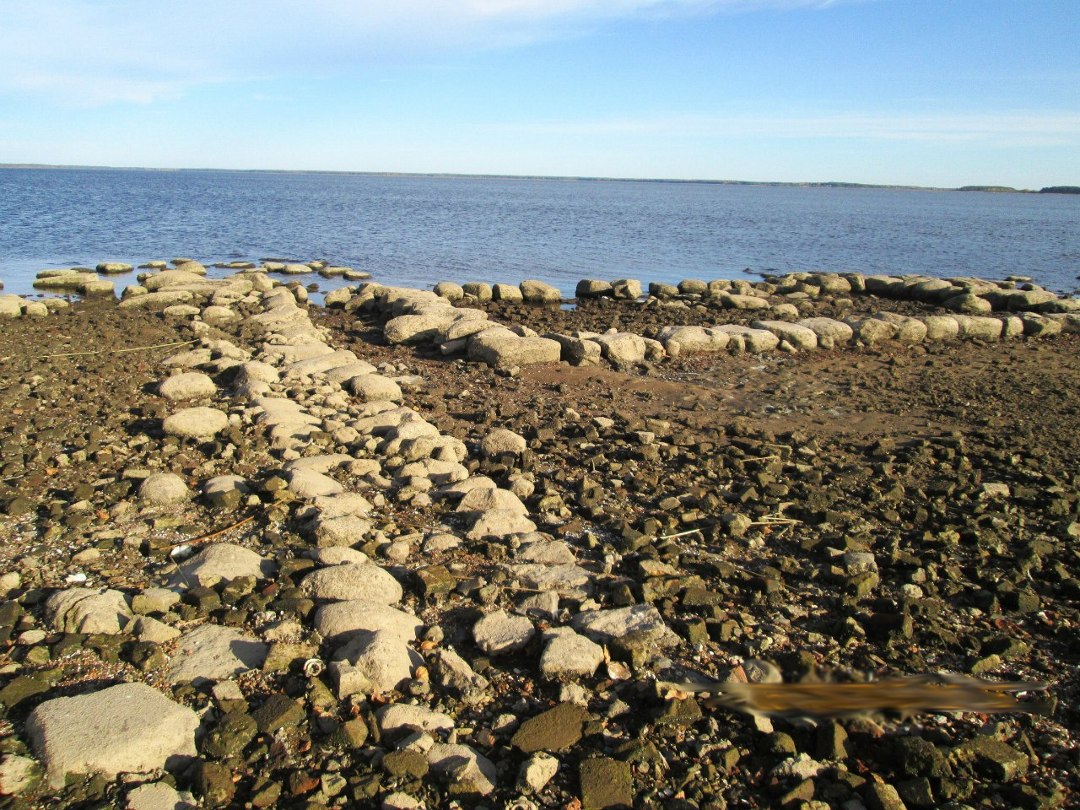 Фундаменты домов. Фото: Татьяна Вавилова