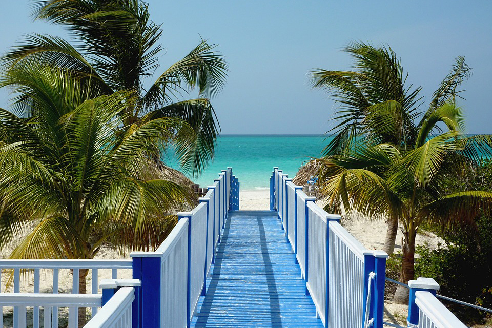 Фото: pixabay.com