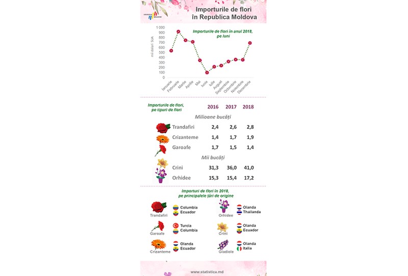 Инфографика