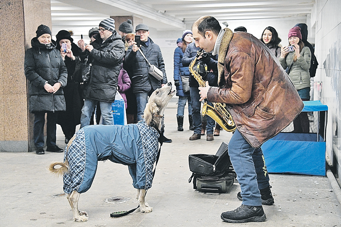 Если музыка хороша, подпевают и собаки.