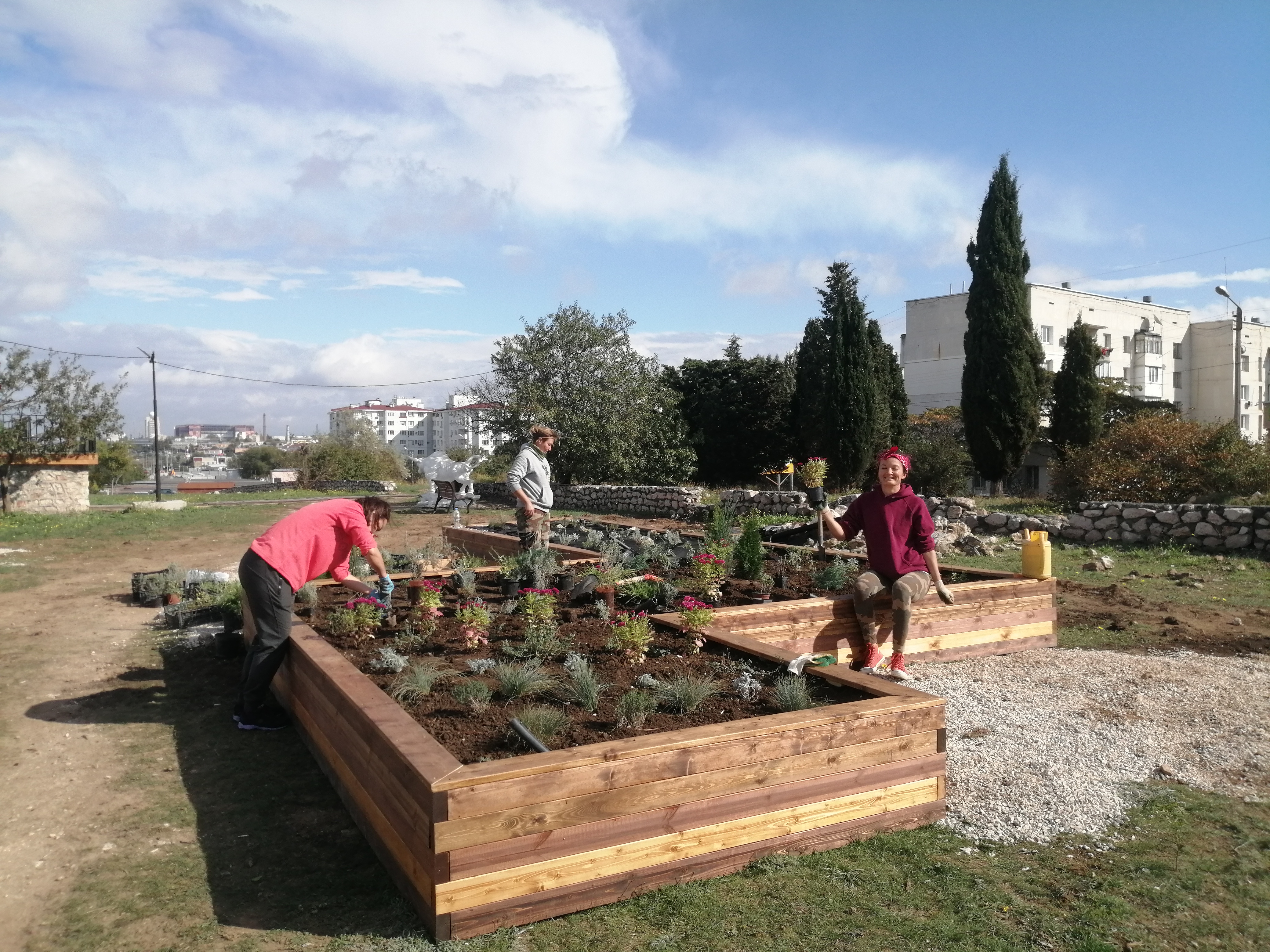 Декоративный аптекарский огород. Фото: Фериде Аблякимова