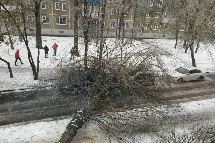 В туалете витебск. Смотреть в туалете витебск онлайн